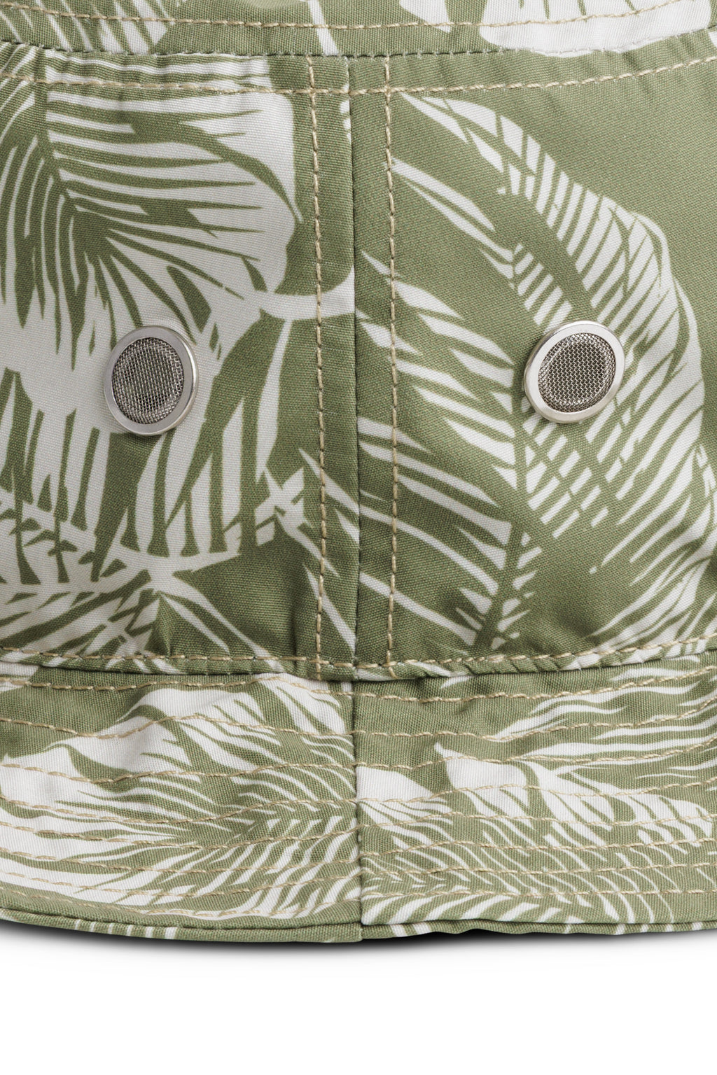 Calm Palm
