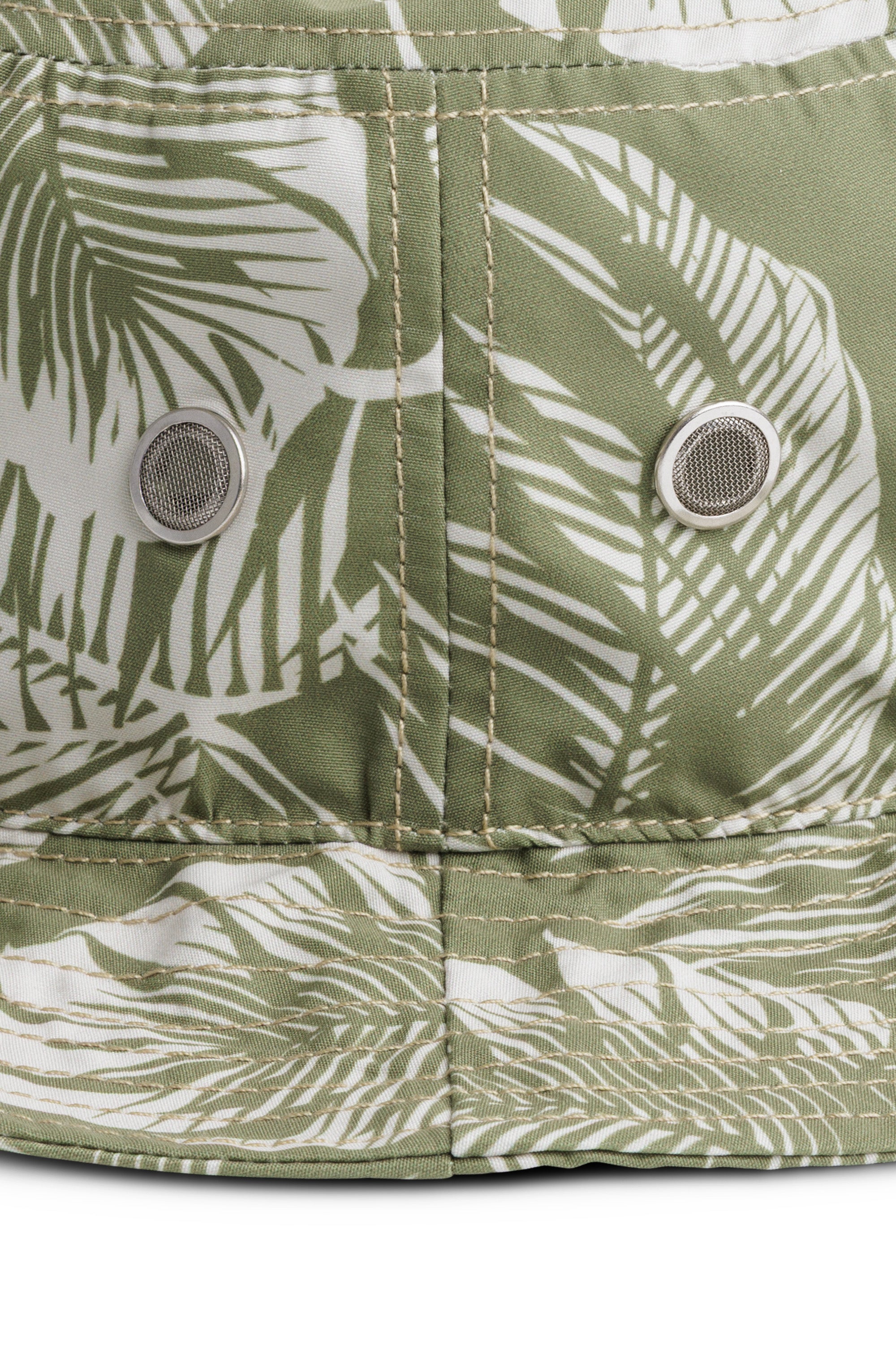 Calm Palm