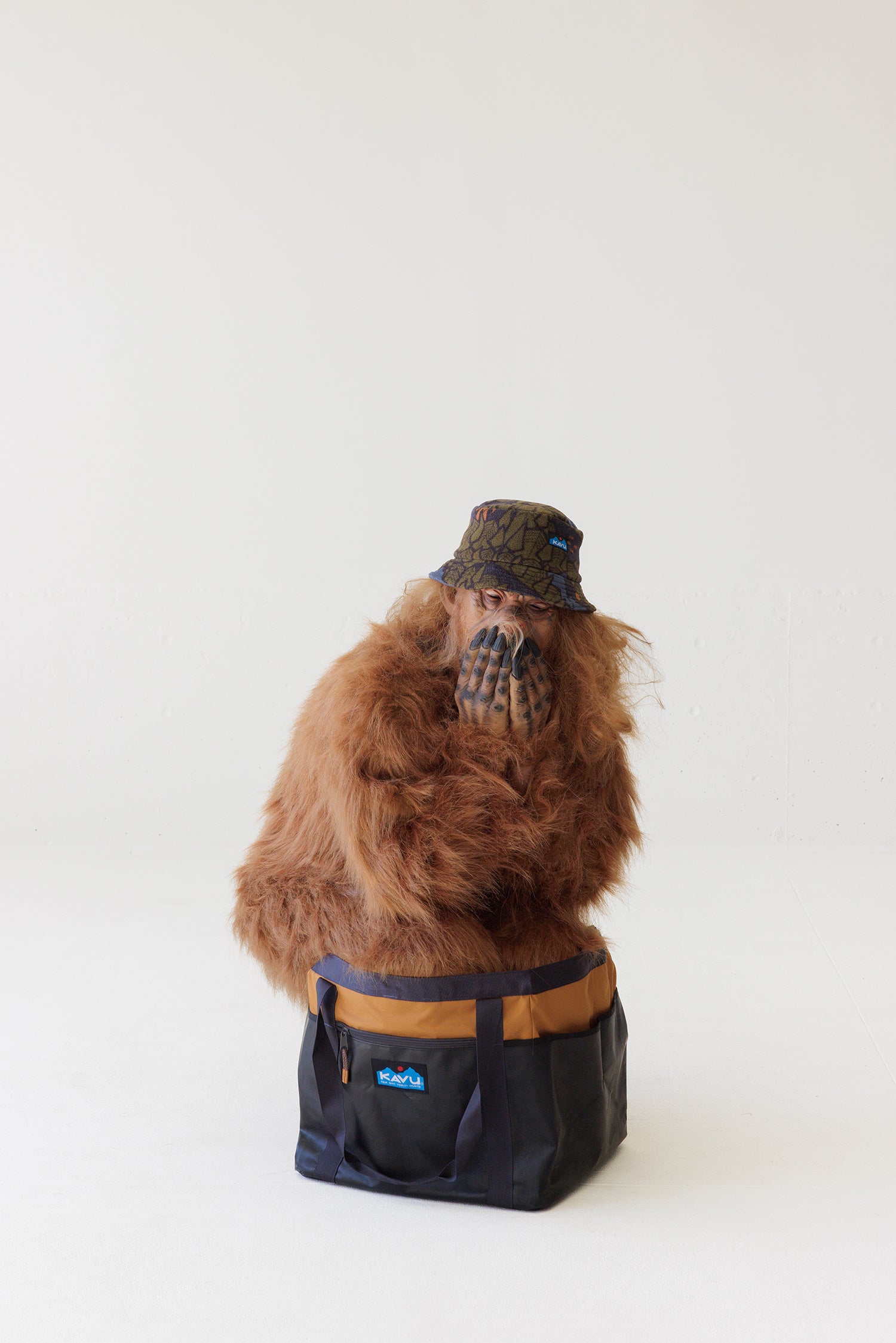 Sasquatch Night