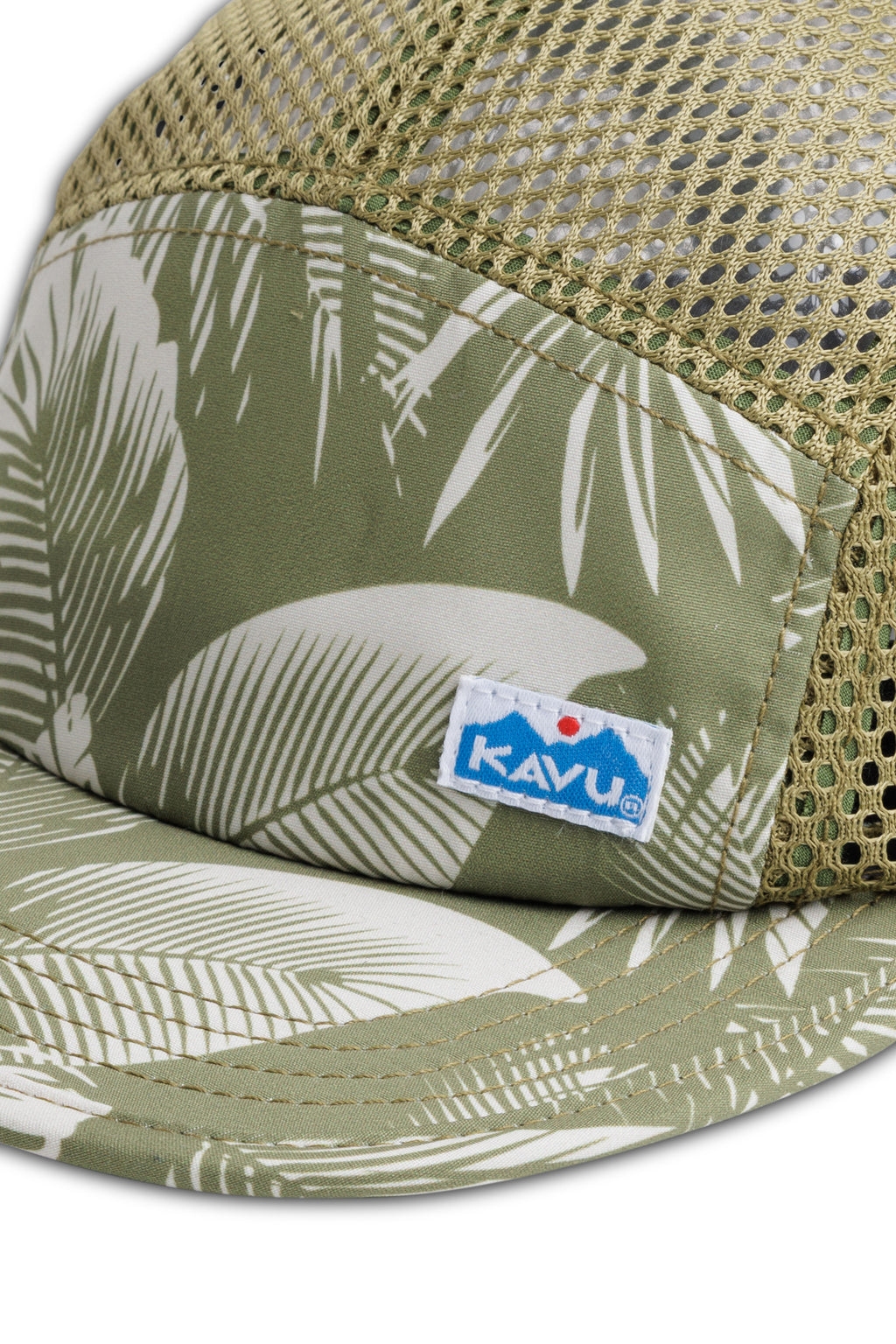 Calm Palm