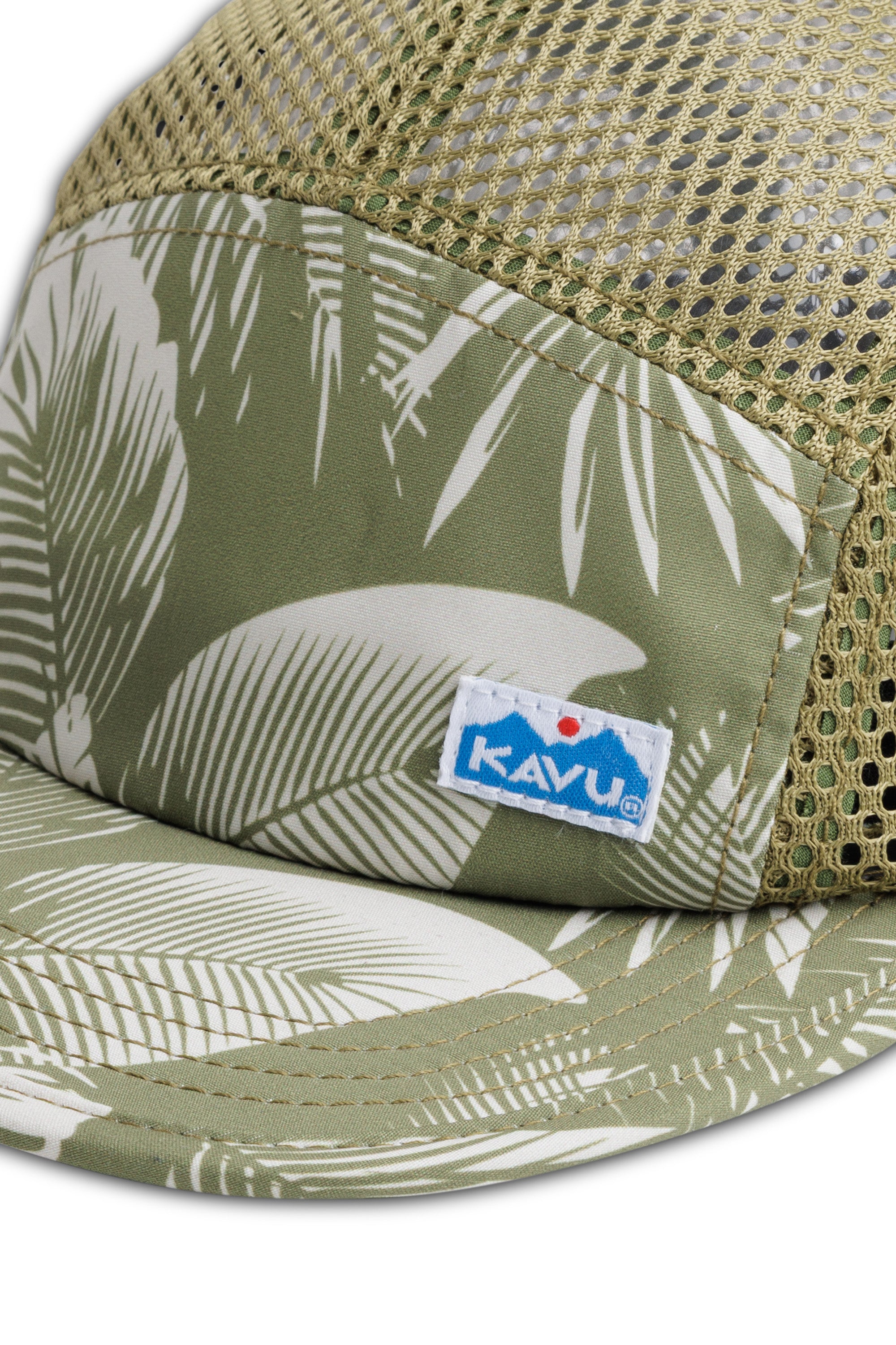 Calm Palm