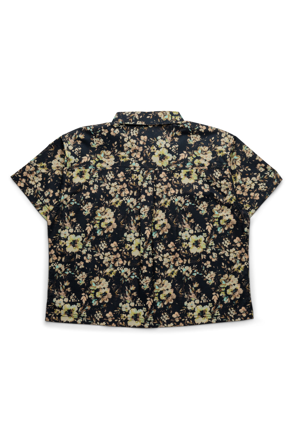 Botanical Bloom