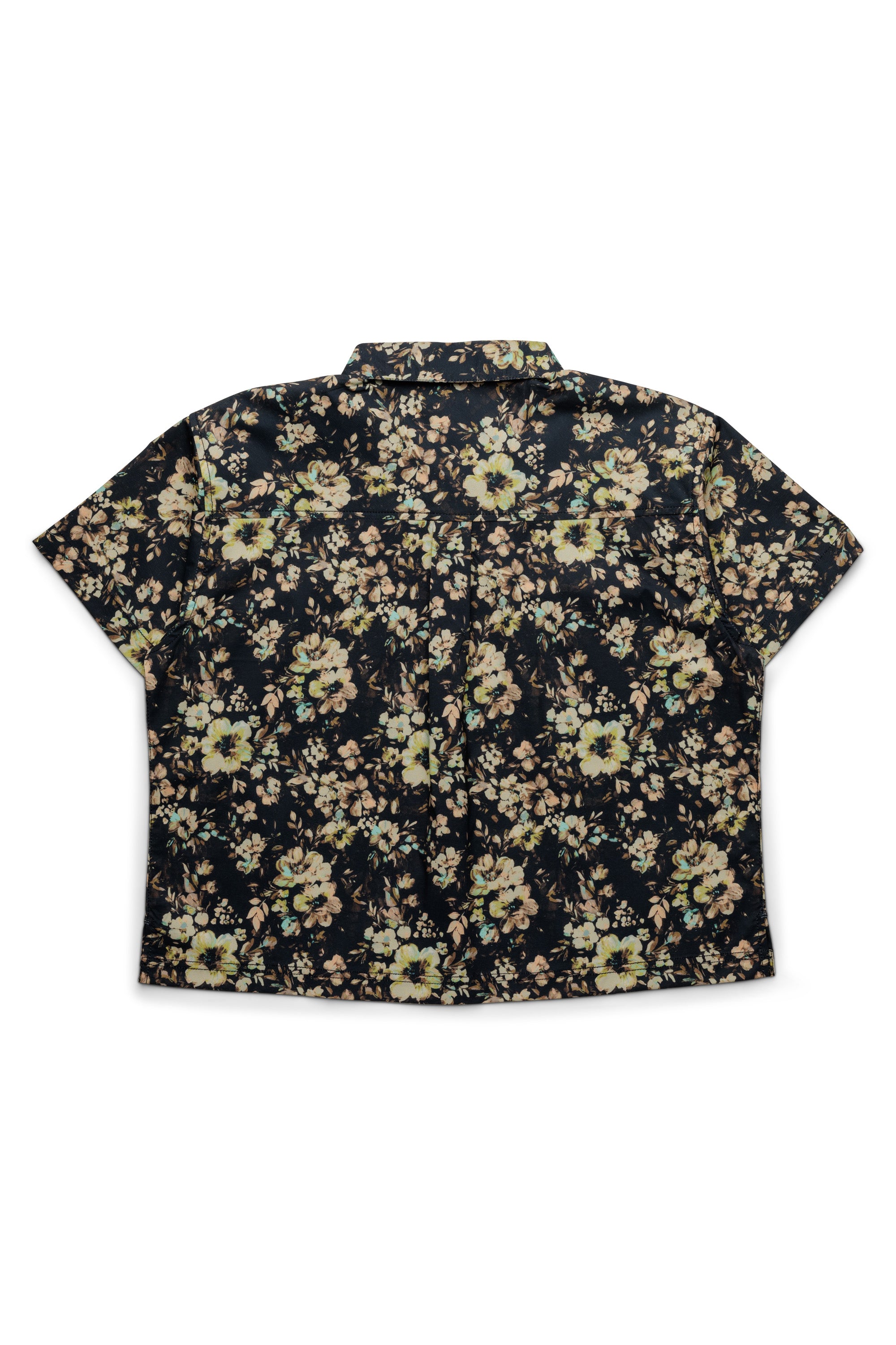Botanical Bloom