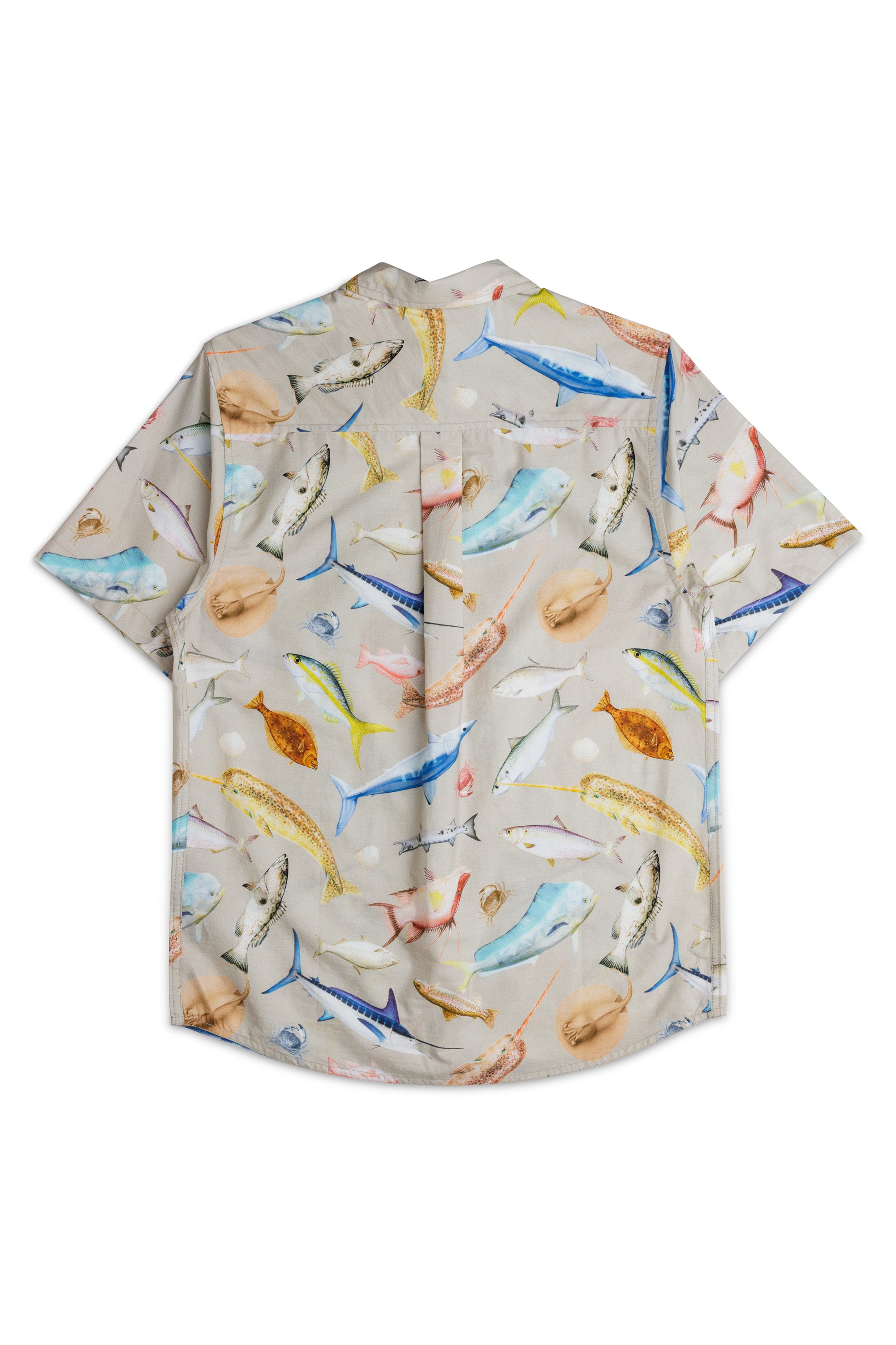 Gulf Fish