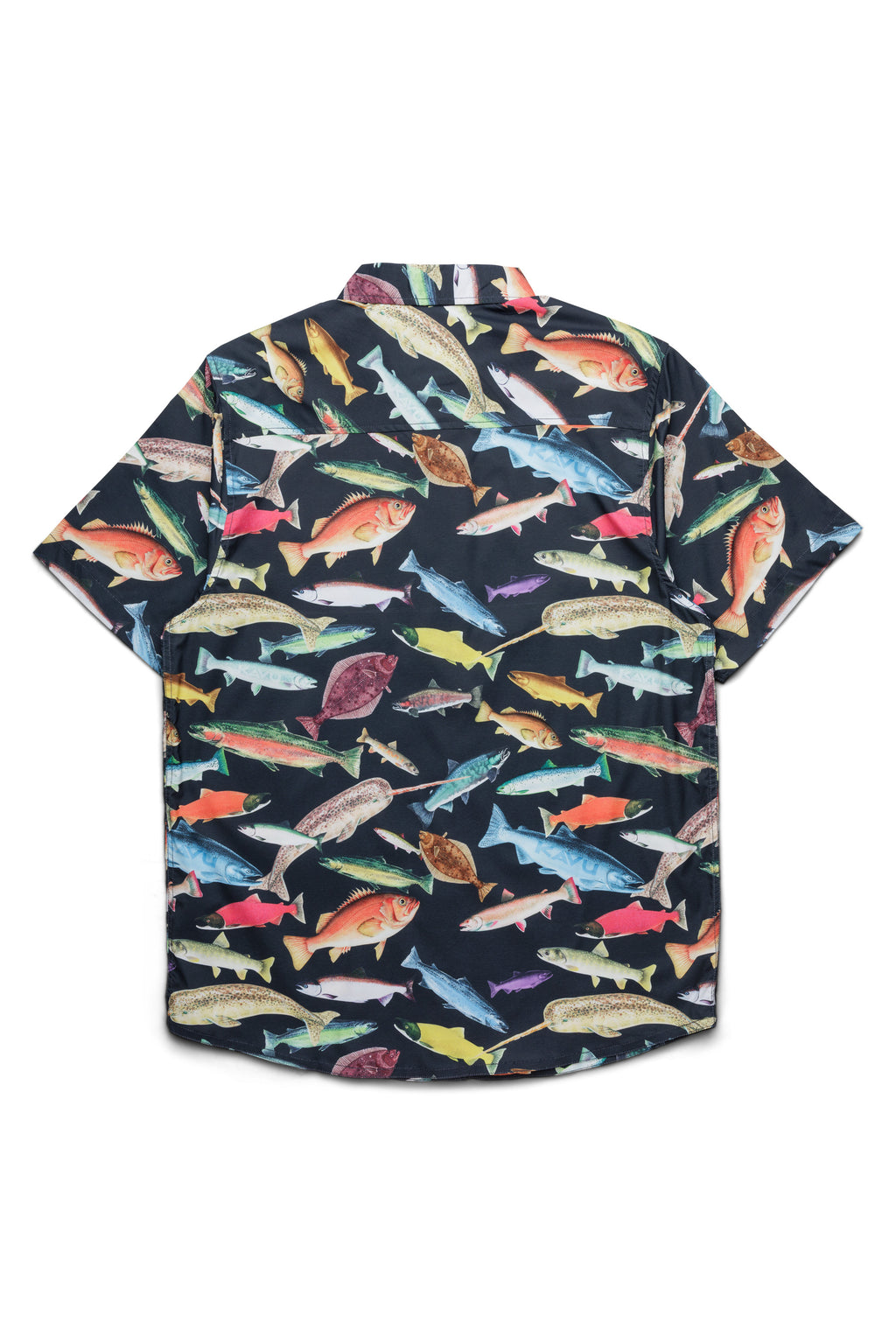 Fish fest