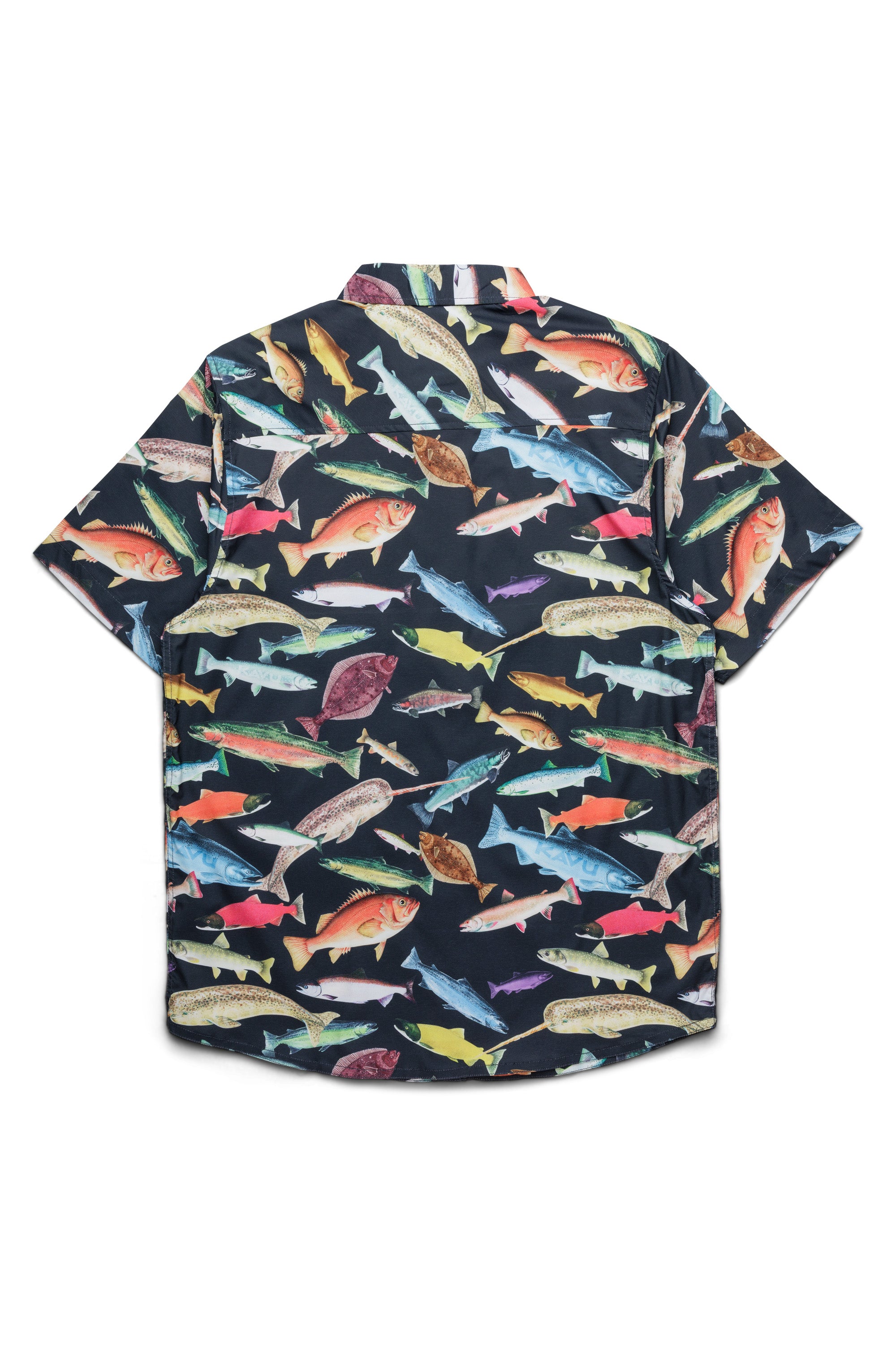 Fish fest