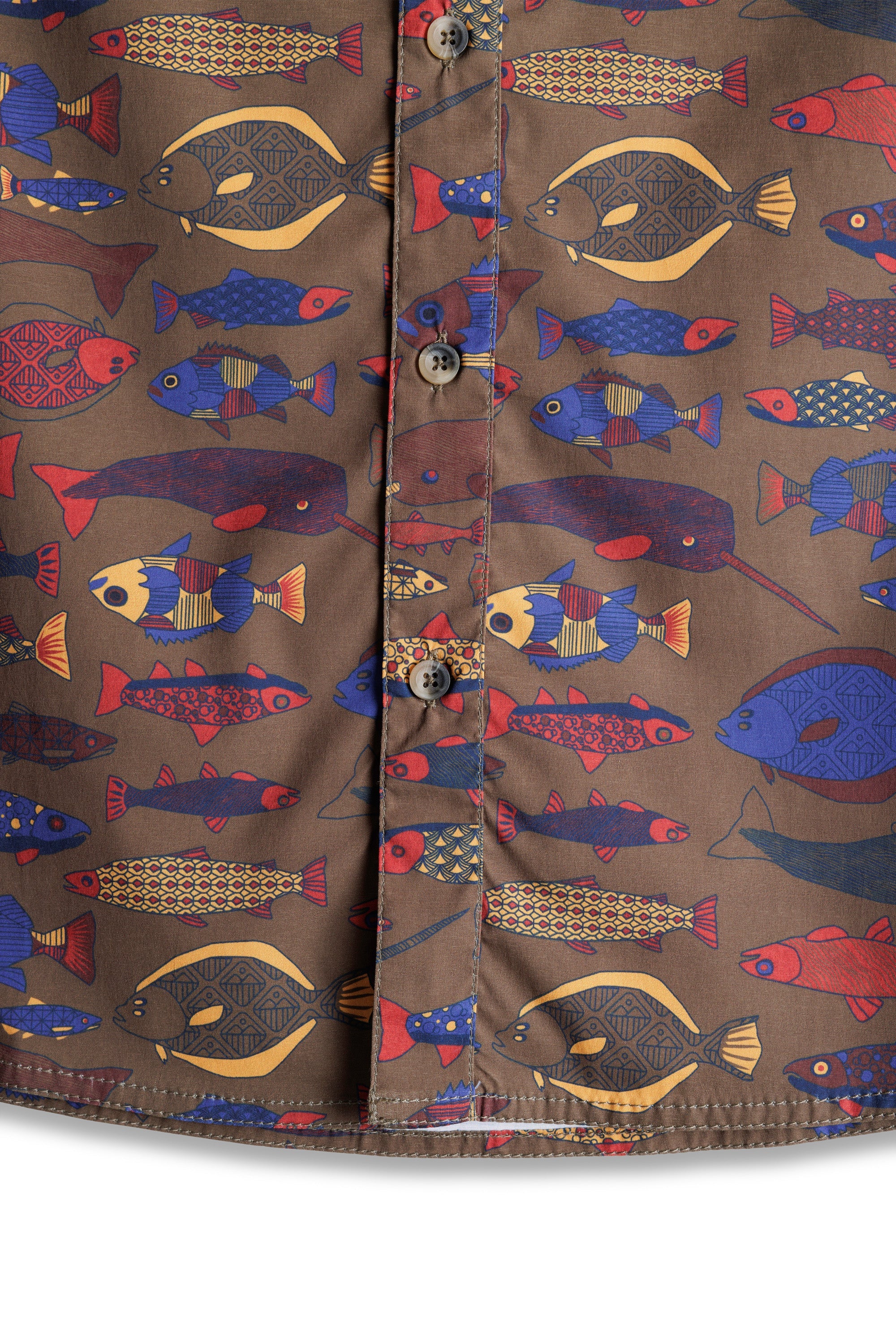 Fish Tessellate
