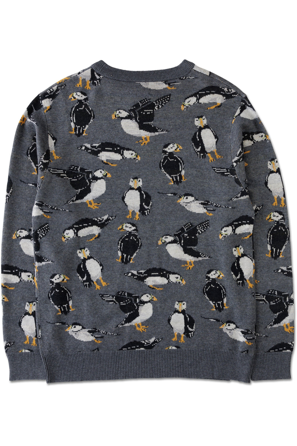 Puffin