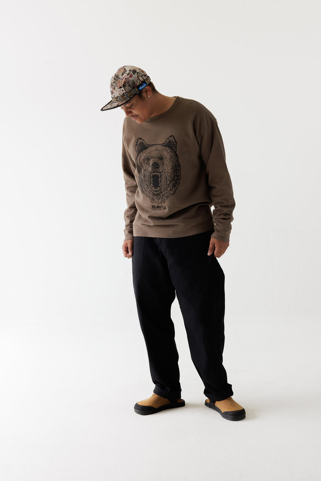 Brown Bear