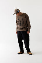 Brown Bear