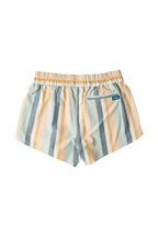 Palisade Stripe
