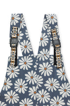 Daisy Love