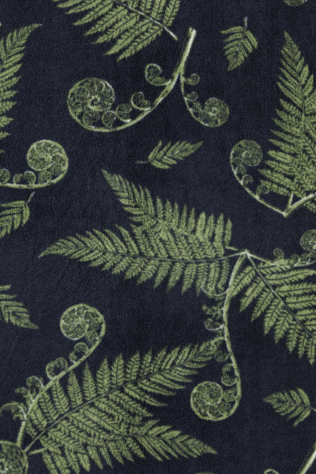 Fiddlehead