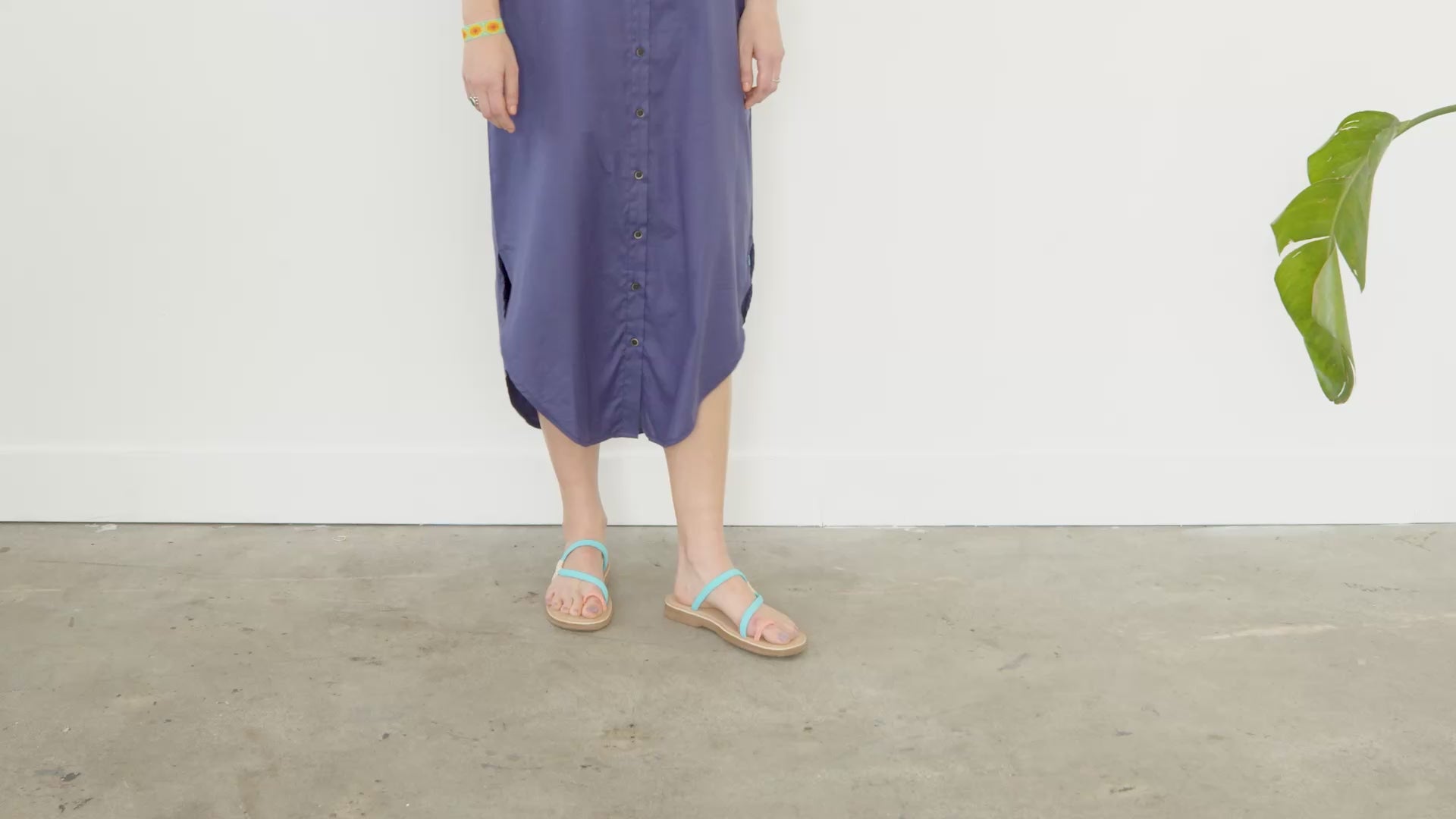 allproducts